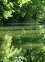 La Seugne entre Clion et St-Germain-de-Lusignan, à proximité du moulin de Sauge