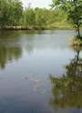 L'étang des Bénissons à Soubran