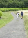 Randonneurs sur les routes de St-Germain-du-Seudre