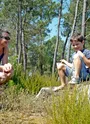 Pause dans la forêt de pins maritimes de la Lande de Montendre et ses bruyères