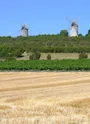 La colline des Sept Moulins, à leurs pieds, une table de lecture