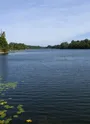 L'étang de St-Maigrin