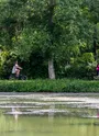 Photo illustrative parcours "entre Loire et Forêt"