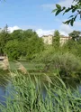 Etang du Mouchet
