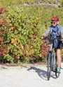 Chemin dans les vignes