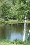 Étang du Charrais