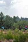 Le plateau de la Verrerie à Saint-Nicolas-des-Biefs