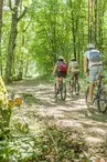 VTT en forêt