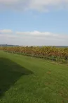 Vignobles Domaine de la Coussaie