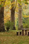 Aire de pique-nique - Contre
