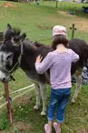 Les enfants prenant soin de l'âne