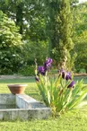 Le Jardin de Pomone