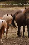 APAC Association de protection des ânes et des chevaux