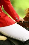 equitation-cheval