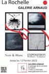 Exhibition - Noir & blanc