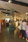 Week-end Musées Télérama au Musée de l'île d'Oléron