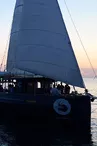 Balade en mer sur le maxi voilier Colombus - Kapalouest