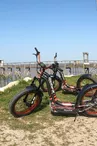 Location vélos vtt et trottinettes électriques à Vitrezay - charente maritime