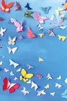 Exposition d'origami - Muséum de papier