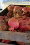 farmers-market-purple-onions-ge19b7dce4_1920