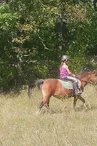 Horse Riding in Family - Horse Center Les Combes