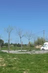 Aire de camping-car à Villeneuve de Berg