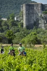 Outings on horseback with Alba Équitation