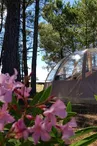Bulle "Etoile d'Ardèche" - Camping Hello Soleil