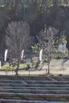 Vue Concession 1