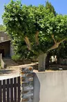 Domaine de la Combe
