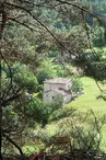 La Maison du Pouchon - La Rialle et la Roumeseyre - Le champ du Faux gîte