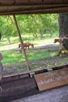 Ranch de pistole