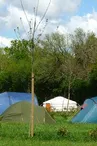 Camping de DéfiPlanet' à Dienné