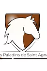 Les Paladins de Saint-Agnan - Logo