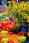marchédeproducteurs