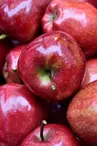 fruit-ga8e097dae_1280